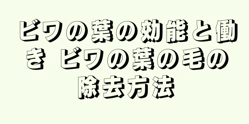 ビワの葉の効能と働き ビワの葉の毛の除去方法