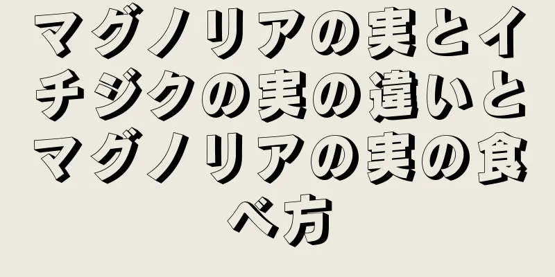 マグノリアの実とイチジクの実の違いとマグノリアの実の食べ方