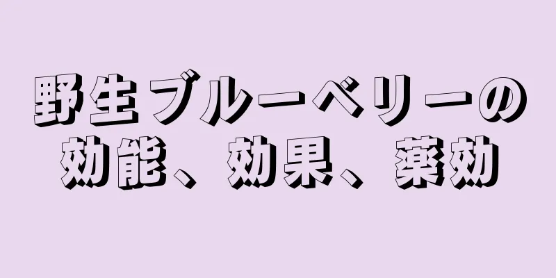 野生ブルーベリーの効能、効果、薬効