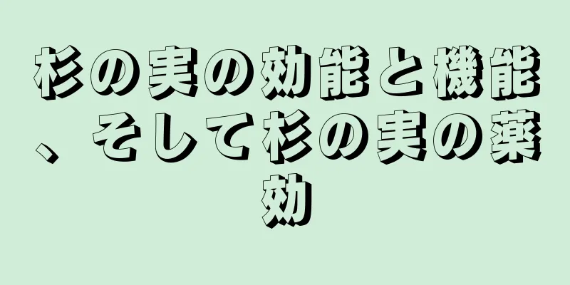 杉の実の効能と機能、そして杉の実の薬効