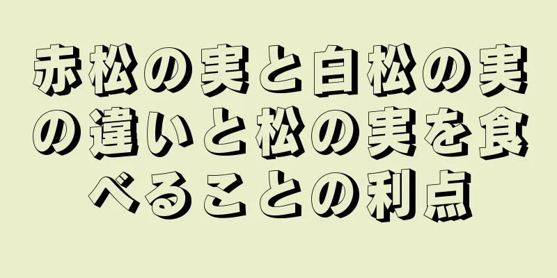 赤松の実と白松の実の違いと松の実を食べることの利点