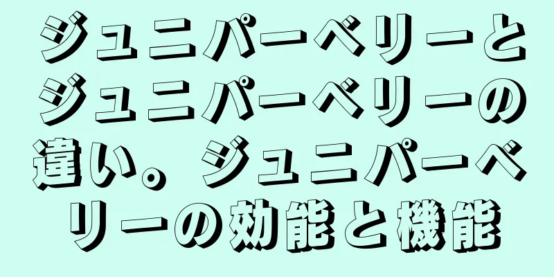 ジュニパーベリーとジュニパーベリーの違い。ジュニパーベリーの効能と機能