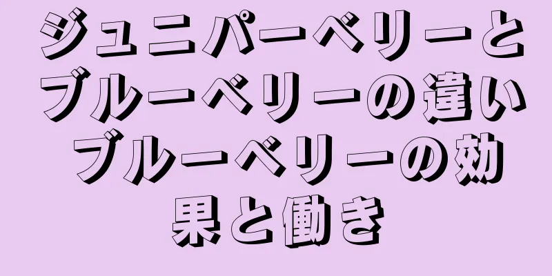 ジュニパーベリーとブルーベリーの違い ブルーベリーの効果と働き