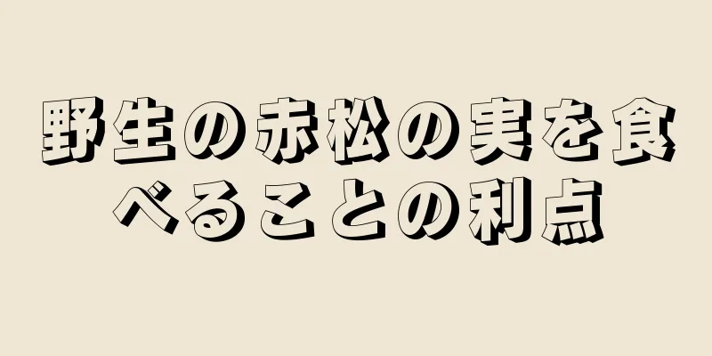 野生の赤松の実を食べることの利点