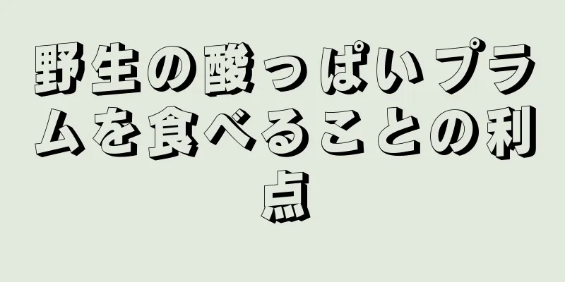 野生の酸っぱいプラムを食べることの利点