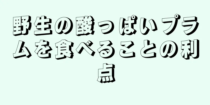 野生の酸っぱいプラムを食べることの利点