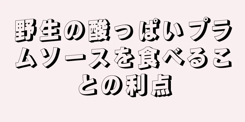 野生の酸っぱいプラムソースを食べることの利点