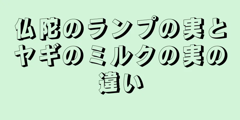 仏陀のランプの実とヤギのミルクの実の違い