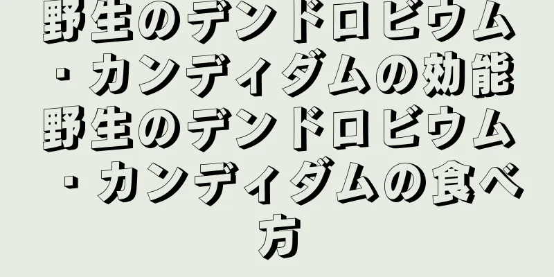 野生のデンドロビウム・カンディダムの効能 野生のデンドロビウム・カンディダムの食べ方