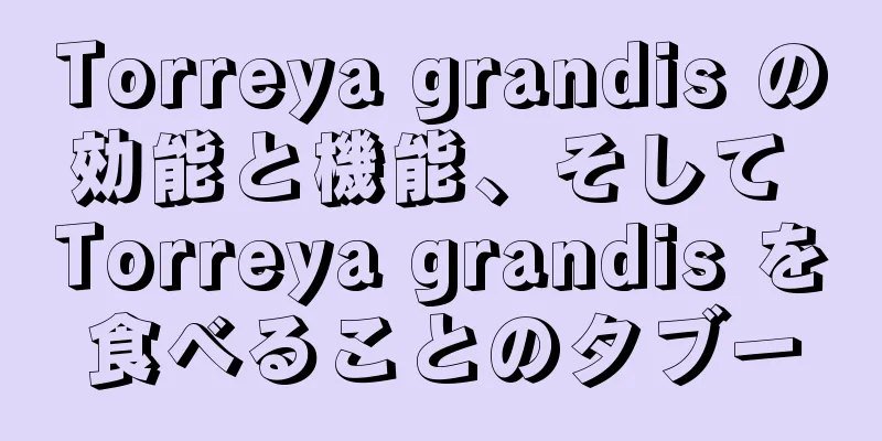 Torreya grandis の効能と機能、そして Torreya grandis を食べることのタブー
