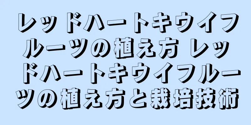 レッドハートキウイフルーツの植え方 レッドハートキウイフルーツの植え方と栽培技術