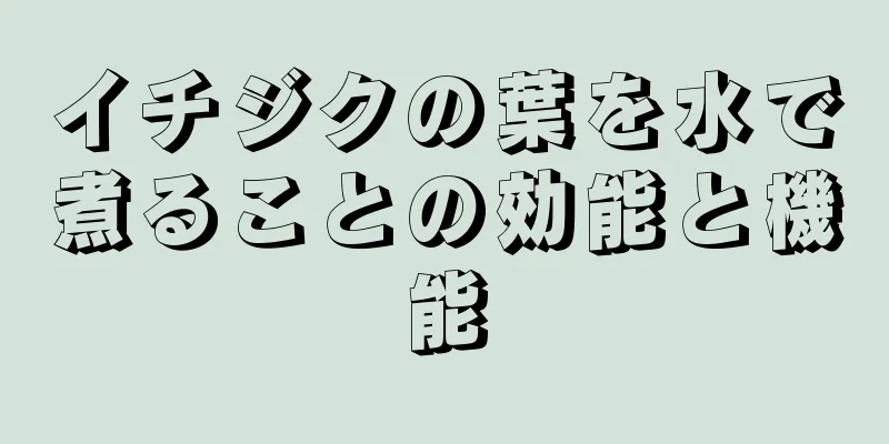 イチジクの葉を水で煮ることの効能と機能
