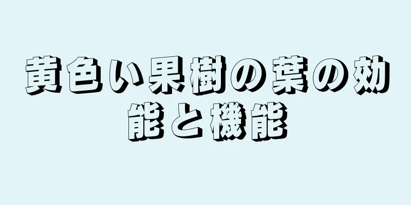 黄色い果樹の葉の効能と機能