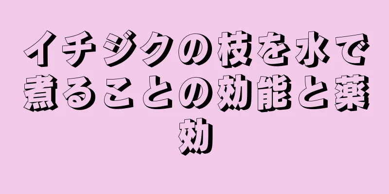 イチジクの枝を水で煮ることの効能と薬効