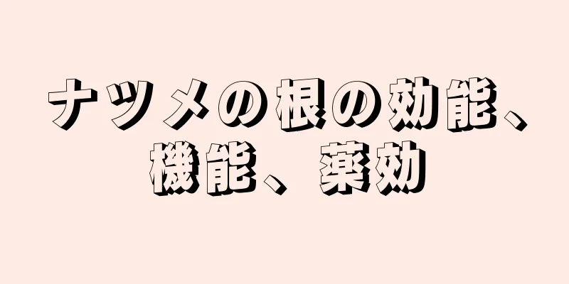 ナツメの根の効能、機能、薬効