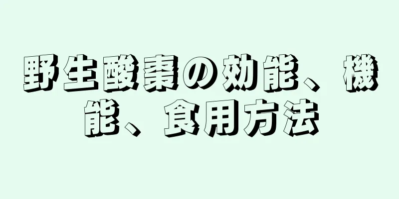 野生酸棗の効能、機能、食用方法