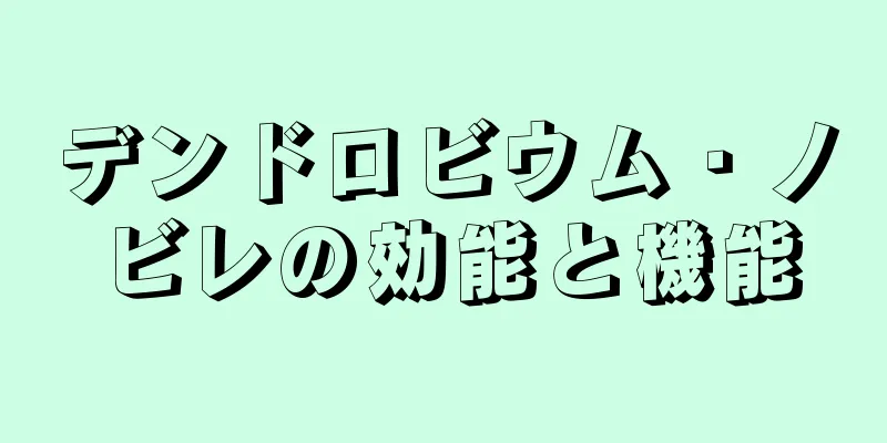デンドロビウム・ノビレの効能と機能