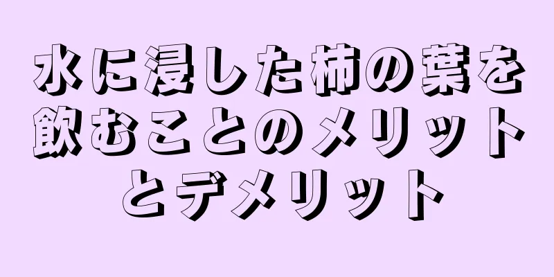 水に浸した柿の葉を飲むことのメリットとデメリット