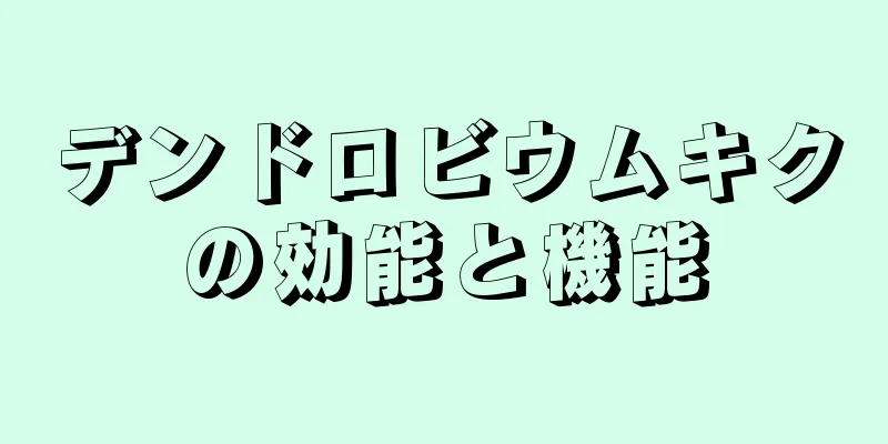 デンドロビウムキクの効能と機能