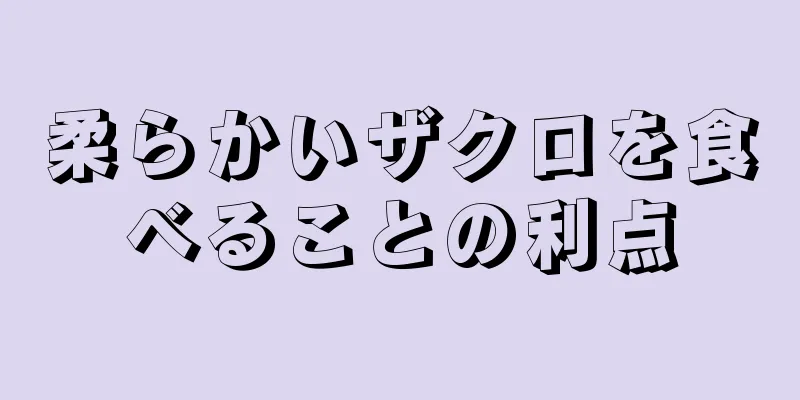 柔らかいザクロを食べることの利点