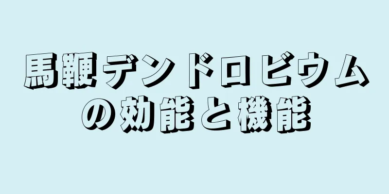 馬鞭デンドロビウムの効能と機能