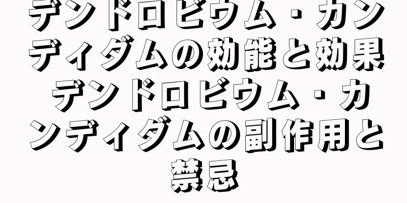デンドロビウム・カンディダムの効能と効果 デンドロビウム・カンディダムの副作用と禁忌