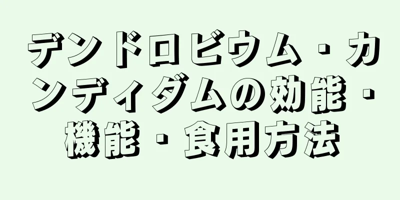 デンドロビウム・カンディダムの効能・機能・食用方法