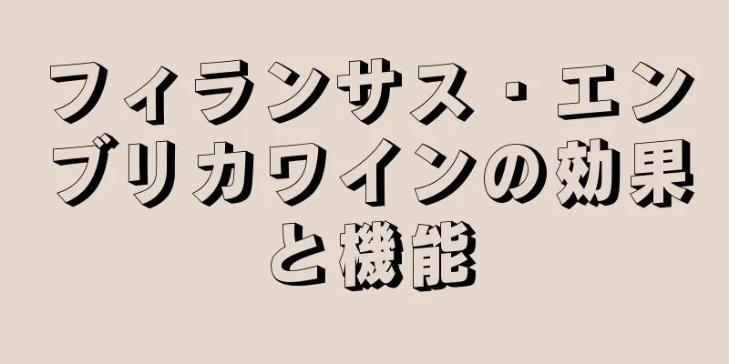 フィランサス・エンブリカワインの効果と機能