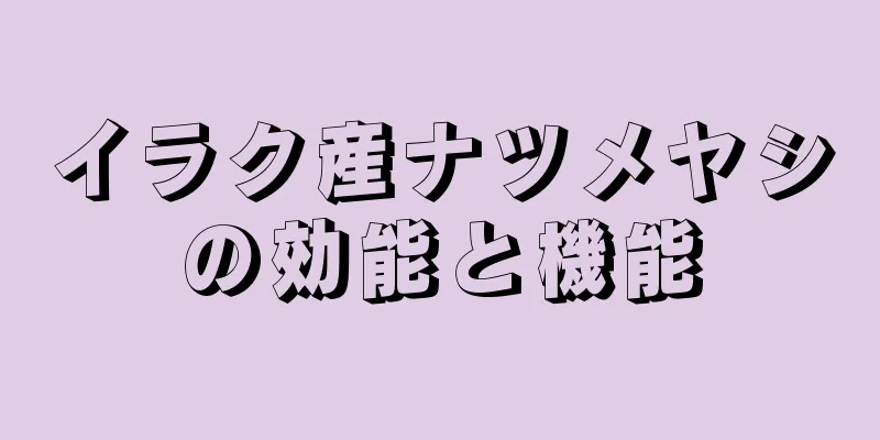イラク産ナツメヤシの効能と機能