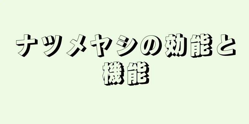 ナツメヤシの効能と機能