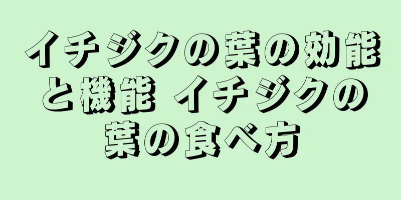 イチジクの葉の効能と機能 イチジクの葉の食べ方