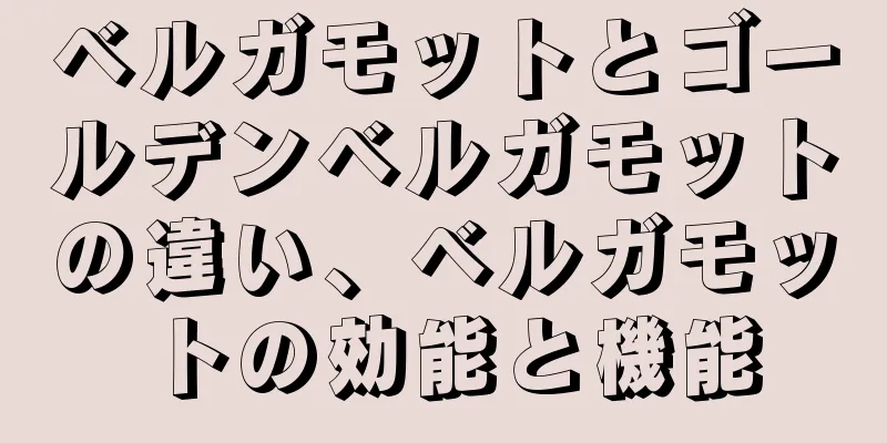 ベルガモットとゴールデンベルガモットの違い、ベルガモットの効能と機能