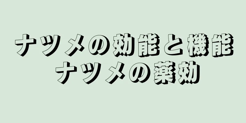 ナツメの効能と機能 ナツメの薬効