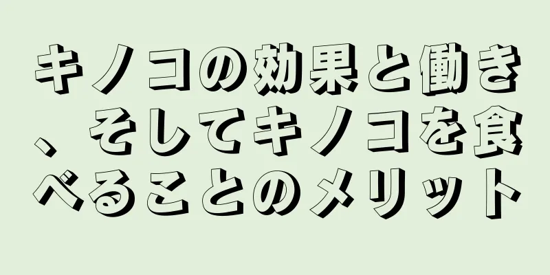 キノコの効果と働き、そしてキノコを食べることのメリット