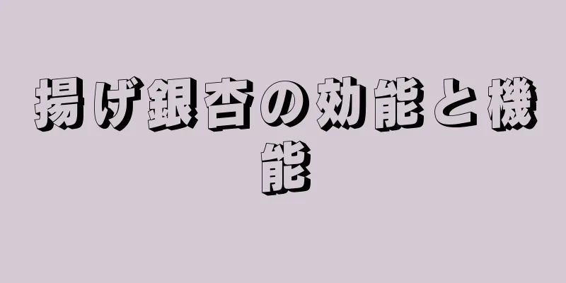 揚げ銀杏の効能と機能
