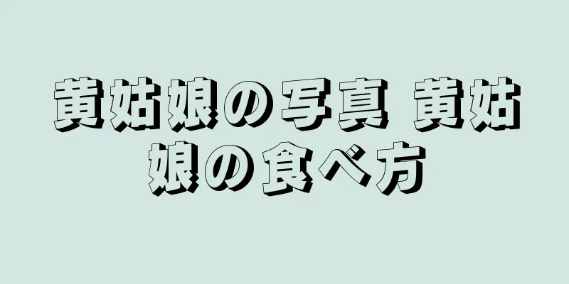 黄姑娘の写真 黄姑娘の食べ方