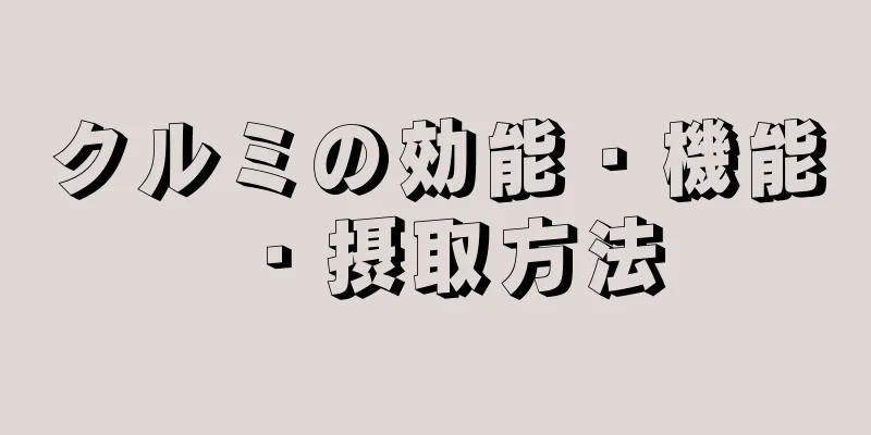 クルミの効能・機能・摂取方法