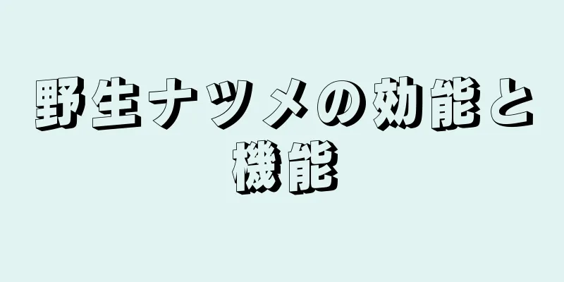 野生ナツメの効能と機能