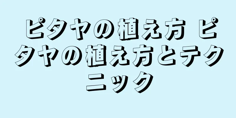 ピタヤの植え方 ピタヤの植え方とテクニック