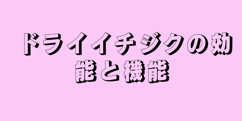 ドライイチジクの効能と機能