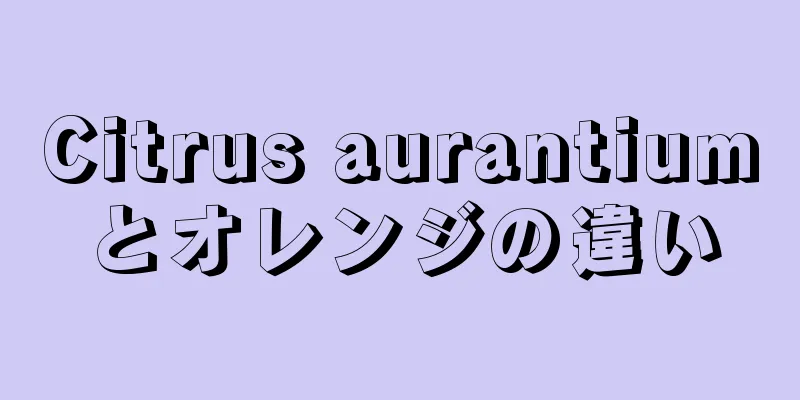 Citrus aurantiumとオレンジの違い