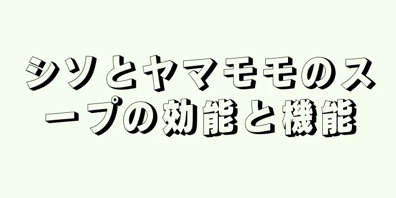シソとヤマモモのスープの効能と機能