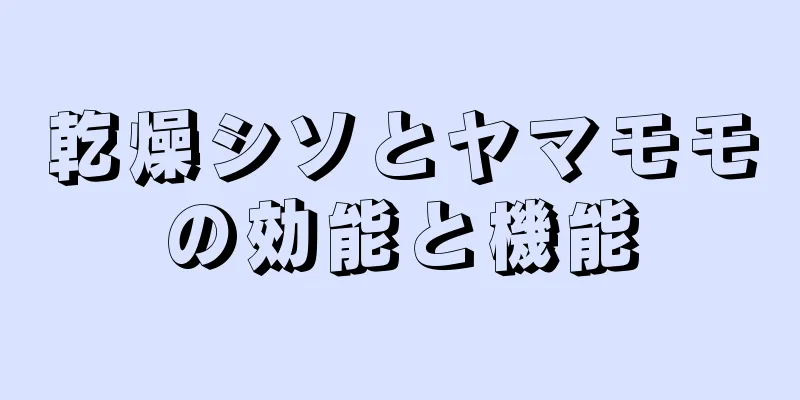 乾燥シソとヤマモモの効能と機能