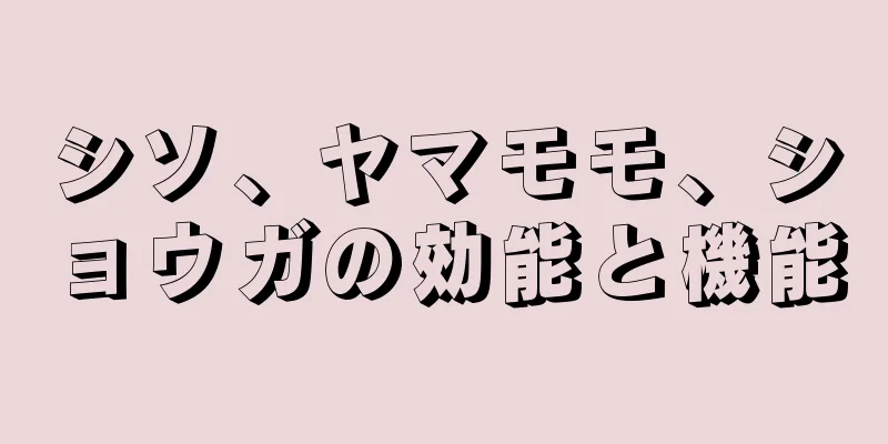 シソ、ヤマモモ、ショウガの効能と機能