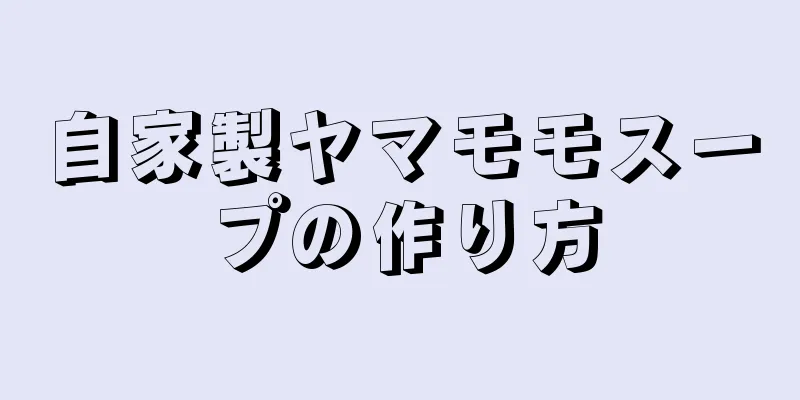 自家製ヤマモモスープの作り方