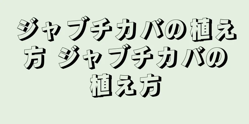 ジャブチカバの植え方 ジャブチカバの植え方
