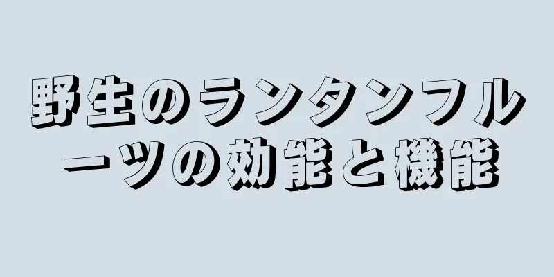 野生のランタンフルーツの効能と機能