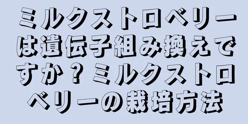 ミルクストロベリーは遺伝子組み換えですか？ミルクストロベリーの栽培方法