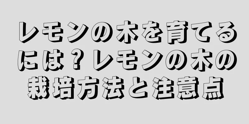 レモンの木を育てるには？レモンの木の栽培方法と注意点