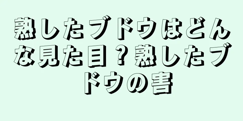 熟したブドウはどんな見た目？熟したブドウの害